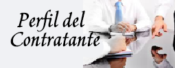 Perfil del Contratante